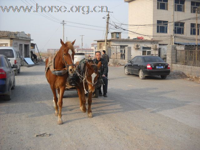 北方的马车 ·  快乐的骑士