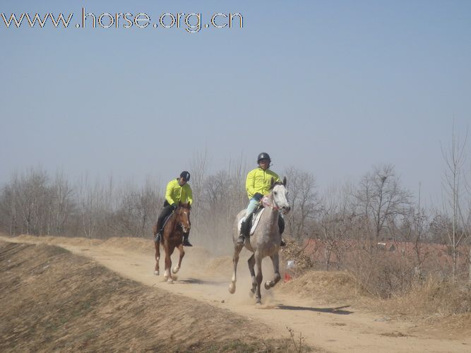 青岛马协2011大沽河耐力赛精彩瞬间