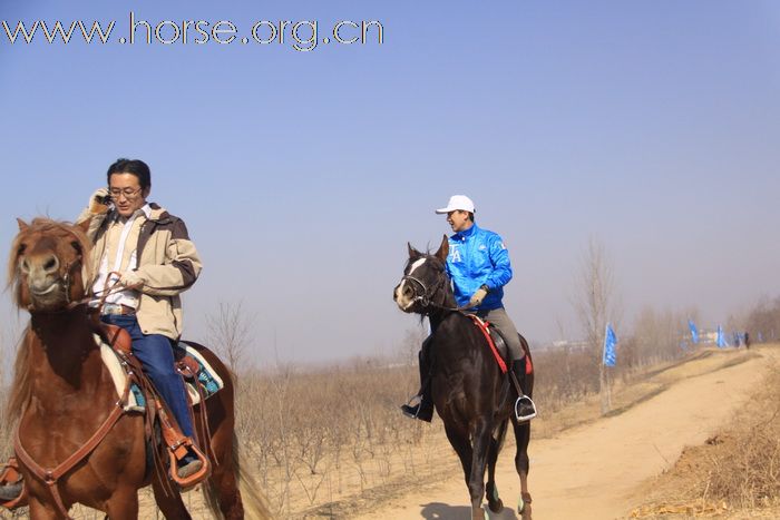 青岛马协2011大沽河耐力赛精彩瞬间