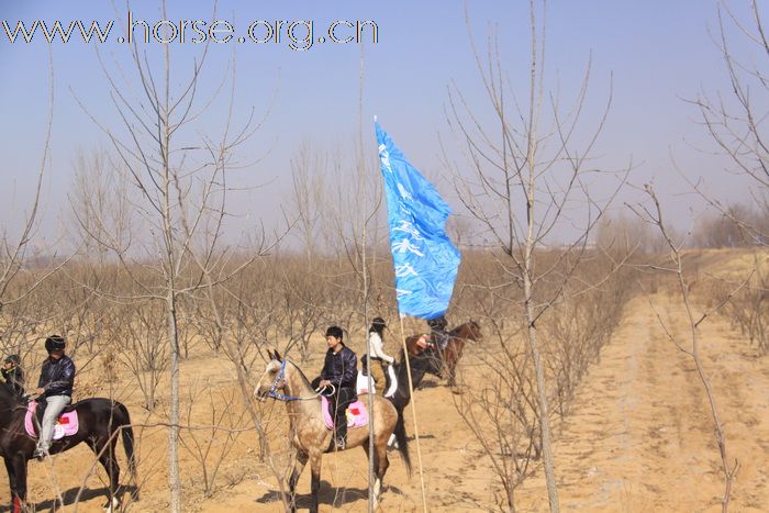 青岛马协2011大沽河耐力赛精彩瞬间