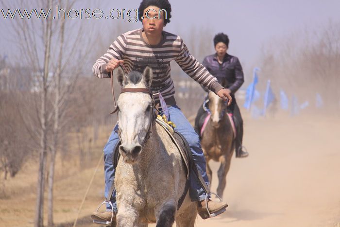 青岛马协2011大沽河耐力赛精彩瞬间