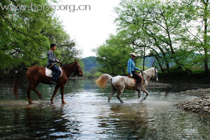 2010首届第二期走马拍花看婺源活动精彩片段