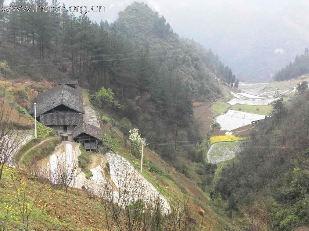 重庆山地耐力赛探路行