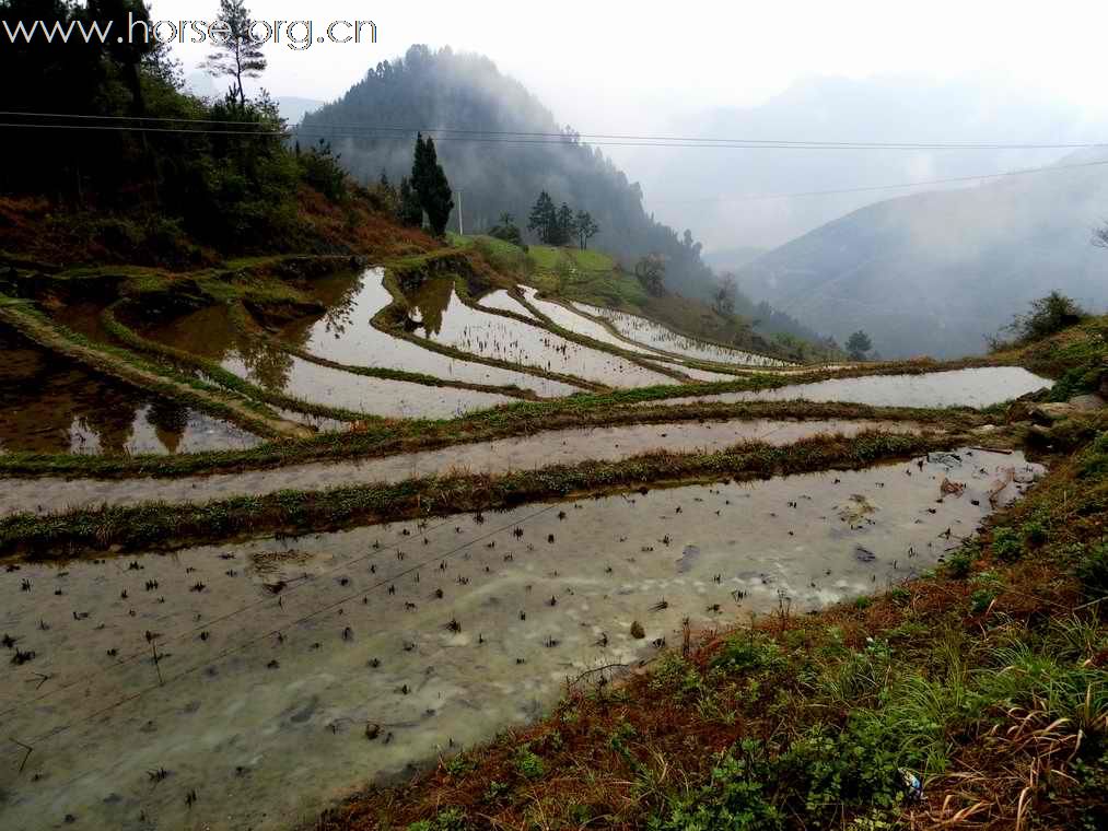 重庆山地耐力赛探路行