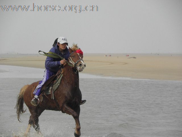 在海里狂奔的的马友和勇士