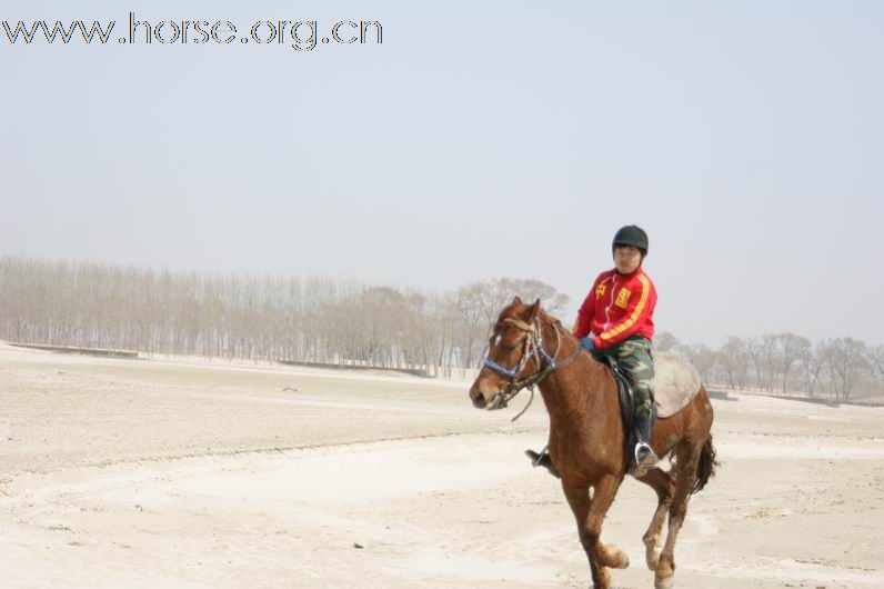 第三届4.18沈阳新民柳河70公里耐力穿越作业贴