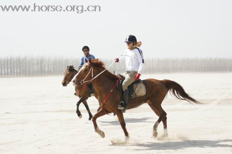 第三届4.18沈阳新民柳河70公里耐力穿越作业贴