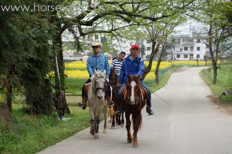 2010首届第二期走马拍花看婺源活动精彩片段