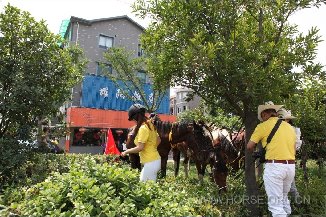 马儿休息地