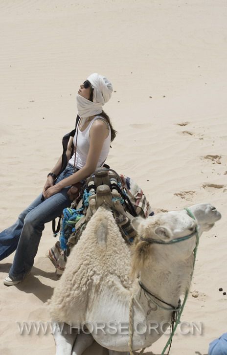 camel ride 3.jpg