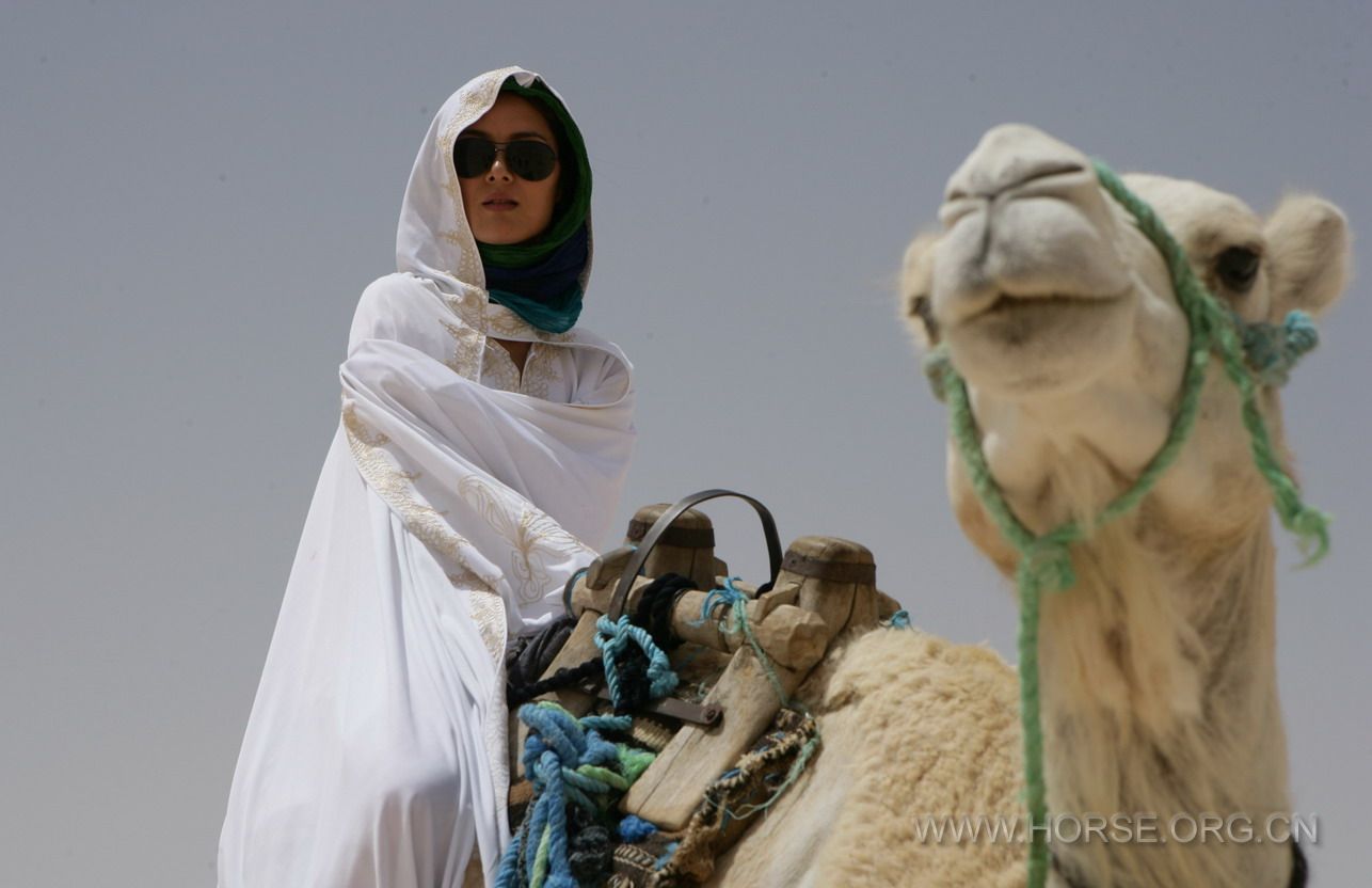 camel ride 1.jpg