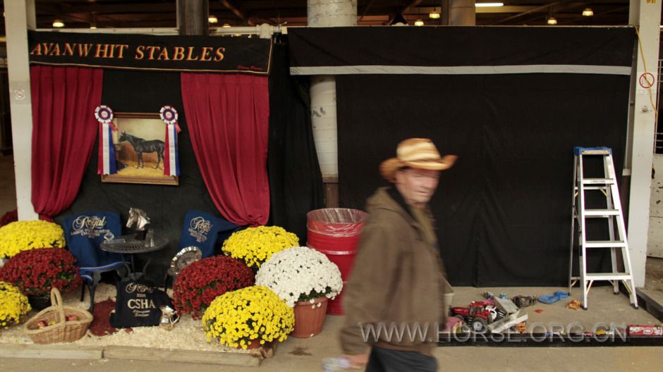 web-ROYALFAIR-g_1337799cl-f.jpg