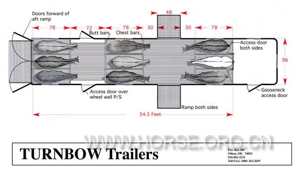 Webber-9-horse-524-revised.jpg