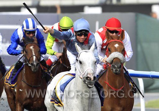 2012-03-31T125625Z_496183144_GM1E83V1MGR01_RTRMADP_3_HORSE-RACING-DUBAI.JPG