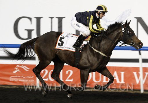 2012-03-31T155911Z_1465968743_GM1E841008401_RTRMADP_3_HORSE-RACING-DUBAI.JPG