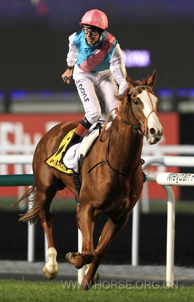 2012-03-31T165617Z_01_AJS22_RTRIDSP_3_HORSE-RACING-DUBAI.jpg