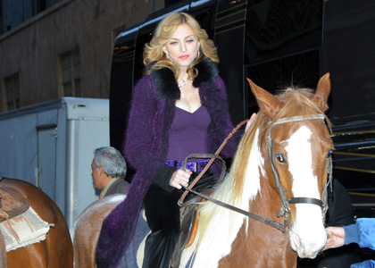 madonna-horse-hurt.jpg