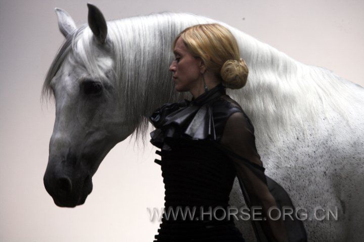 HORSE-by-Klein-madonna-12353212-720-479.jpg