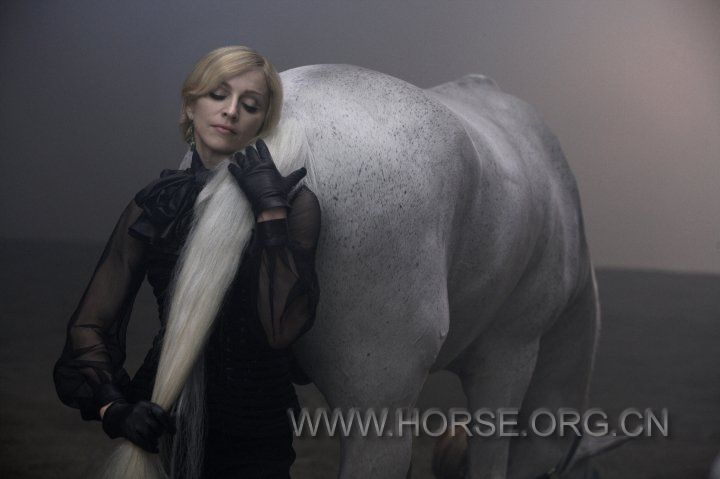 HORSE-by-Klein-madonna-12353419-720-479.jpg