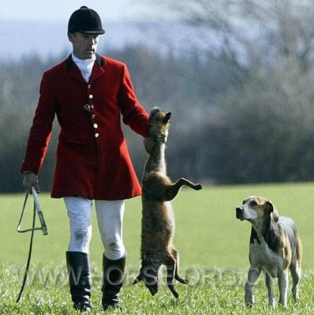 fox-hunting-pic-pa-161062217.jpg