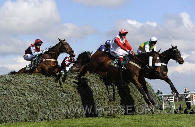 2012-04-12T154341Z_01_CRC07_RTRIDSP_3_HORSE-RACING-ENGLAND.jpg