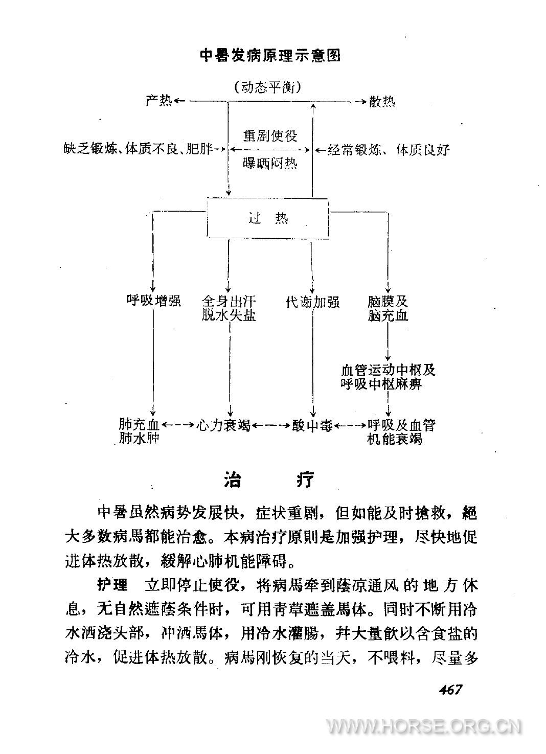 中暑3.jpg