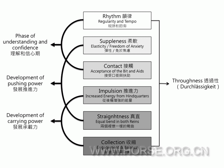 Training_Scale.gif