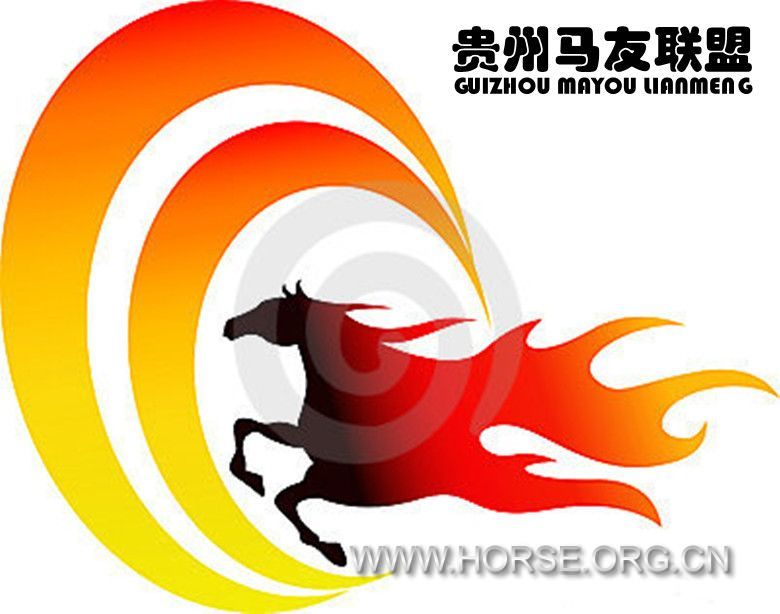 贵州马友联盟LOGO.jpg