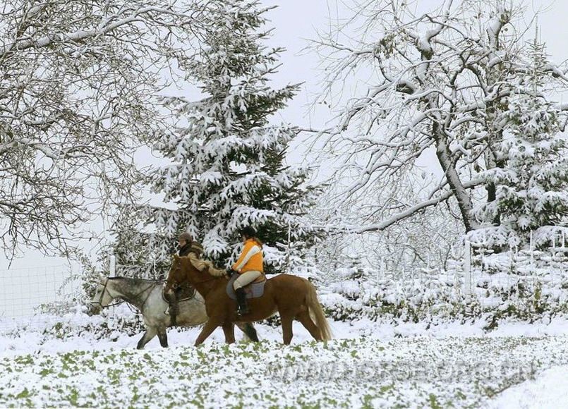 201210 Europe 大雪.jpg