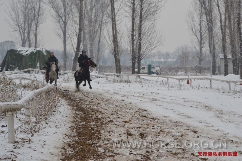 雪中策马扬鞭