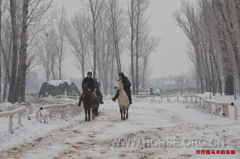 雪中小谈