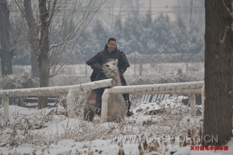 踏雪归来