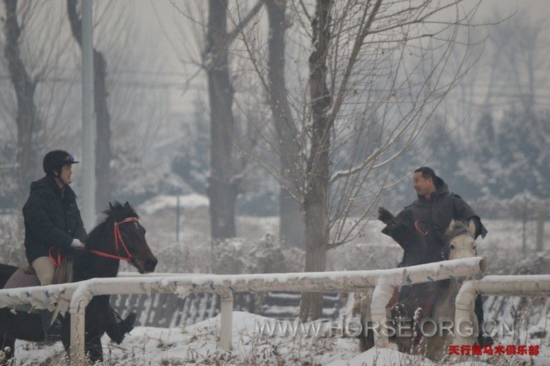 雪中马友切磋技艺