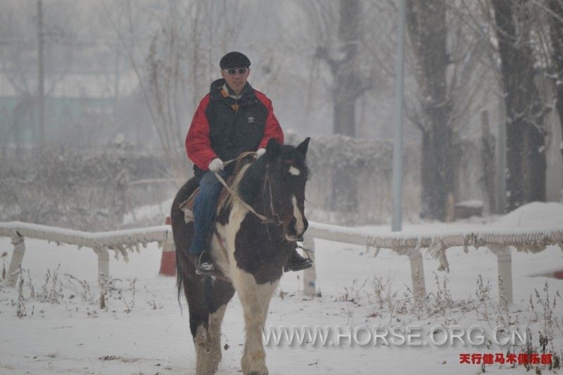 雪中散步与马