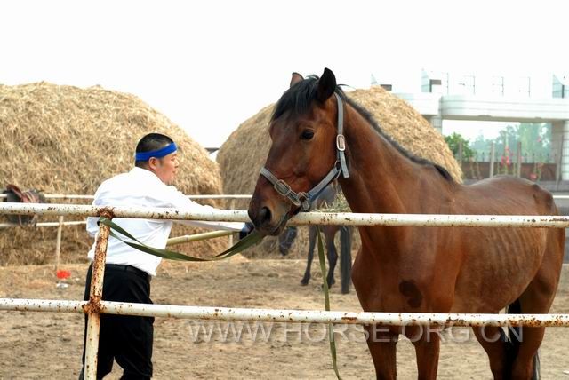 调整大小 DSC_0013.JPG