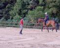 马术运动的六大好处之四 学习接受挫败培养优质EQ