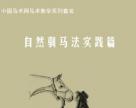 自然驯马法-实践篇