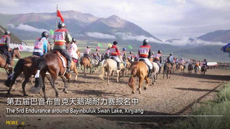 第五届巴音布鲁克耐力赛报名中