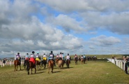 Registration Notice: China Equestrian TREC Endurance on Silk Road International