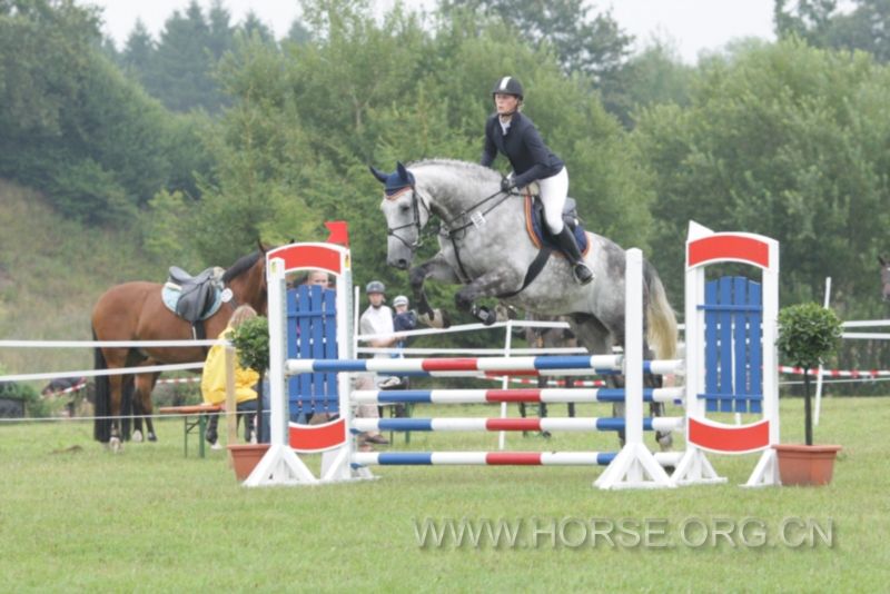 Holsteiner gelding Caraldo, 6 yr, 1,84m.jpg