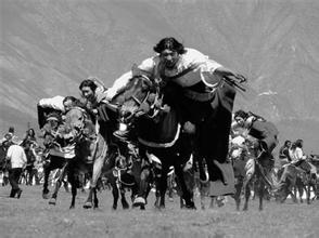 西藏赛马秘事：贵族赛马中的情感宣泄