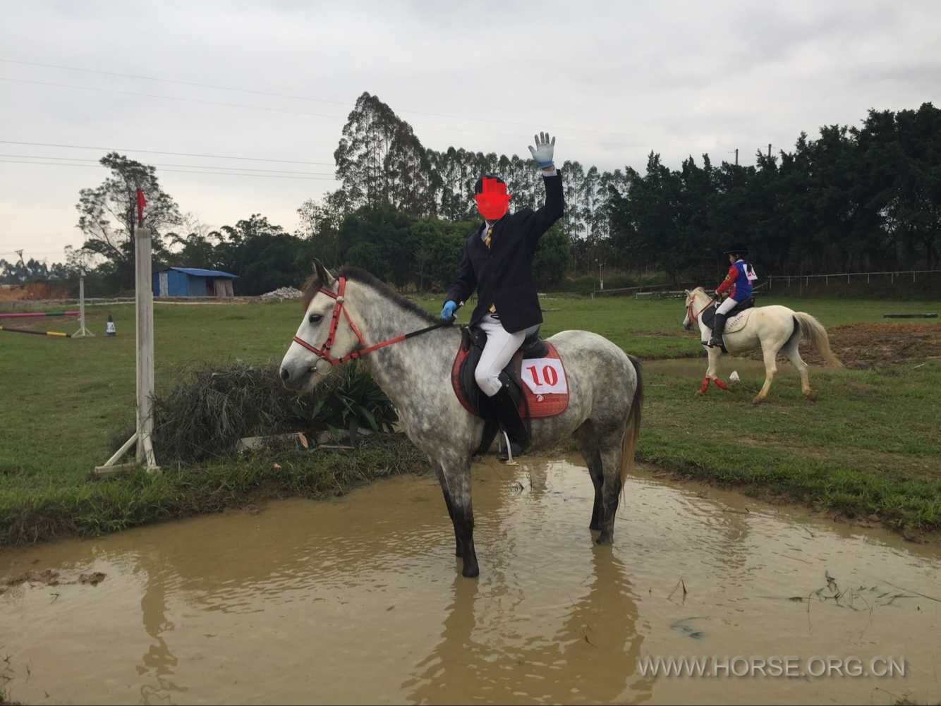 五岁青骟马，肩高1米五出头，价格两万。