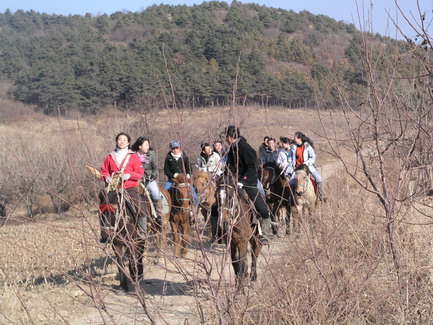 11月20日奉天骑兵营活动照片（二）