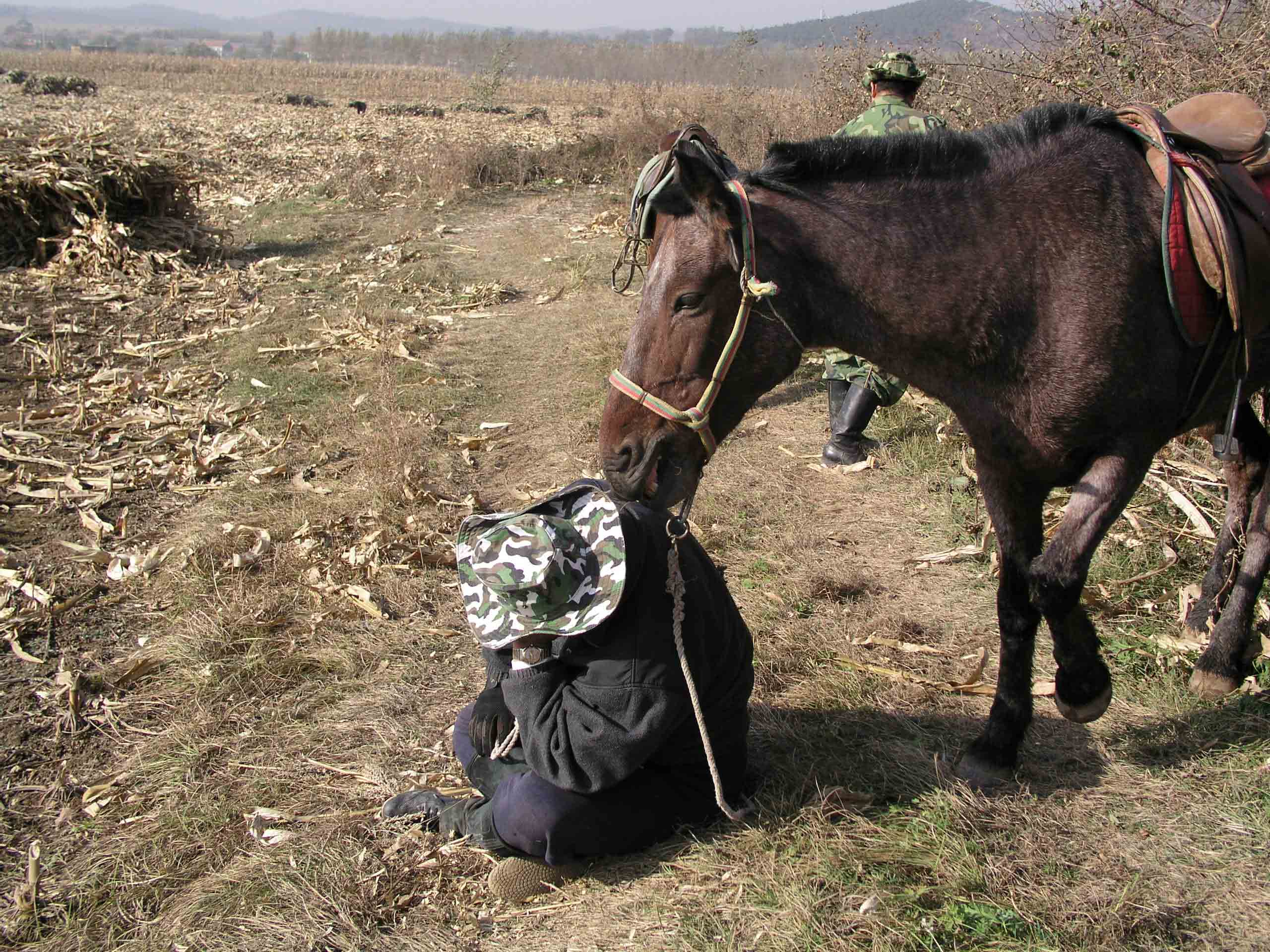 野骑时抓拍的趣味照片