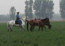 5月14日精诚马友会休闲骑乘.姊涵有时间来放马.