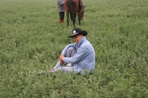 5月14日精诚马友会休闲骑乘.姊涵有时间来放马.