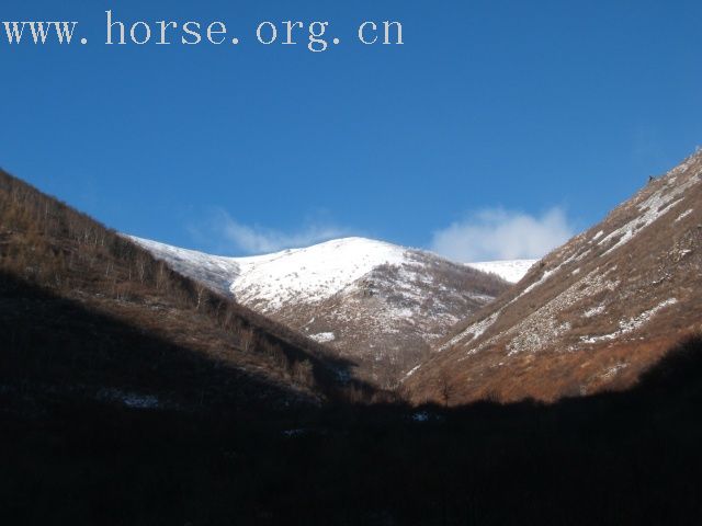 [贴图]今日上坝赏美景