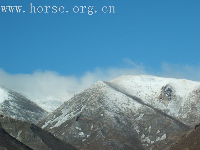 [贴图]今日上坝赏美景