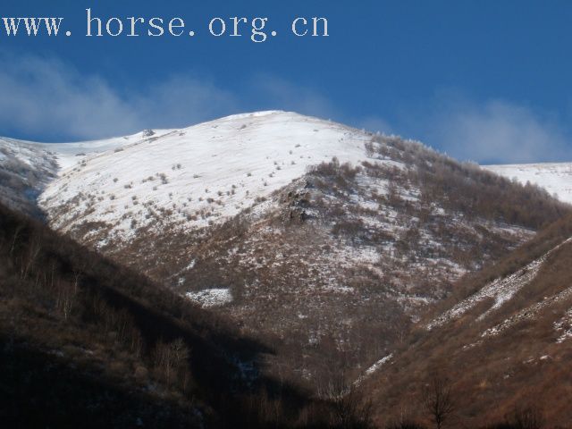 [贴图]今日上坝赏美景