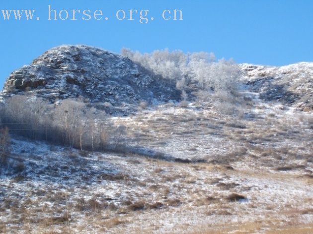 [贴图]今日上坝赏美景